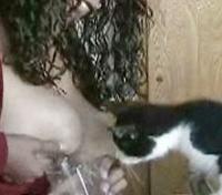 You have to see this cat drink Talia's breast milk