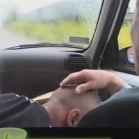 He picks up a hitchhiker and sucks him off