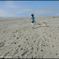 Tranny openly strips out of tight white capri pants at the beach.